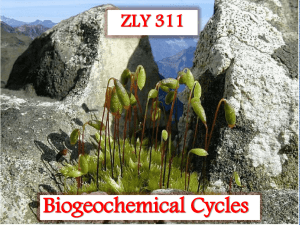 The Nitrogen Cycle