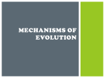 Mechanisms of Evolution