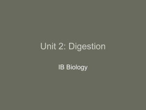 Unit 2: Digestion