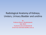 Lecture 8-Radiological Anatomy and Investigations of
