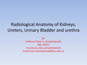 Lecture 8-Radiological Anatomy and Investigations of