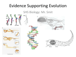 Evidence Supporting Evolution - Mr. Smit: Life Sciences For SHS