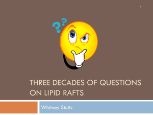 Lipid Rafts Presentation