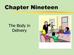 chapter19sg - Macmillan Learning