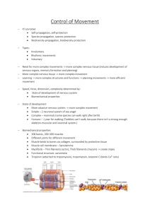 Control of Movement