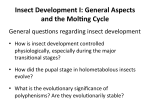 Insect Development I: General Aspects and the Mol ng Cycle