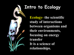 Ecology Unit - Romeo Community Schools