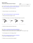 Natural Selection Webquest - Dixie Middle School Science