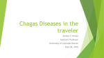 Chagas Diseases in the traveler