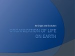 Organization of Life on earth