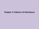 Chapter 5: Patterns of Inheritance
