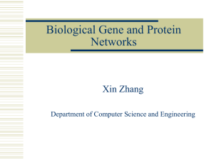 Biogenenet: Learning Biological Gene and Protein Networks from