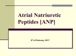 Atrial Natriuretic Peptides