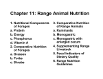 chapter-11 Range Animal Nutrition