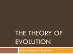 The theory of evolution
