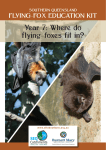 Year 7: Where do flying-foxes fit in?