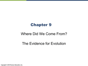 Chapter 9: Evolution