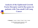 Epidermal Growth Factor Receptor and K