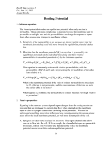 Resting Potential