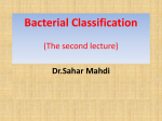 Bacterial Classification (The second lecture)