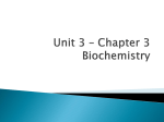 Unit 3 * Chapter 3 Biochemistry