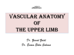 L14-Vascular anatomy of the upper limb2013