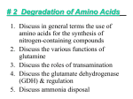 Degradation of Amino Acids
