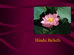 Hindu Beliefs