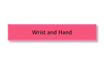 Wrist and Hand (1)