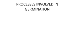 PROCESSES INVOLVED IN GERMINATION