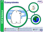 Ecosystems - physicslocker.com