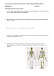 YEAR 11 PHYSICAL EDUCATION – AREA OF STUDY 1 – BODY