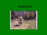 Angle Pairs