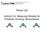 5.4 Molecular Models for Plants Growing: Biosynthesis PPT