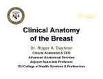 Clinical Anatomy of the Breast