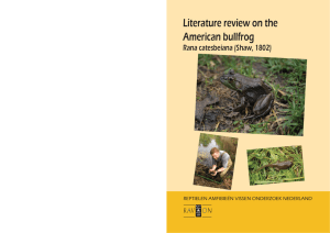 Literature review on the American bullfrog