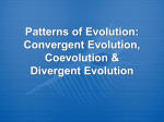 Patterns of Evolution: Convergent Evolution vs. Divergent Evolution