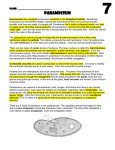paramecium notes 13 highlighted