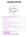 Label the parts of the cell cycle diagram and briefly describe what is