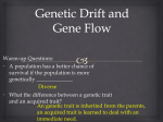 Genetic Drift and Gene Flow