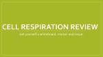 Cell respiration review