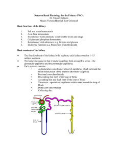 Renal physiology for the Primary FRCA