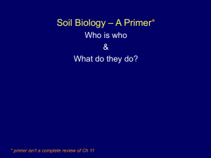 Soil Chemistry (continued)