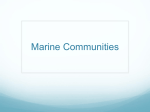 Marine Communities