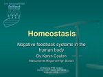 Homeostasis . ppt - Harvard Life Sciences Outreach Program