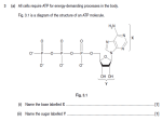 Anaerobic Respiration