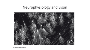 The Physiology of Vision