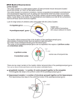 M555 Medical Neuroscience