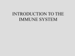 Innate and adaptive immunity