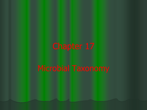 Chapter 17: Microbial taxonomy